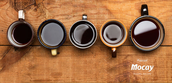 Cupping, qué es y cómo se hace la cata casera del café